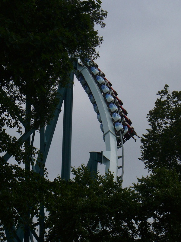 06.jpg