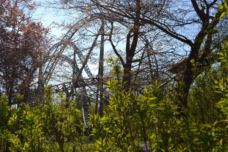 DSC_0359.JPG (1.23 MiB) Viewed 4866 times DSC_0359.JPG