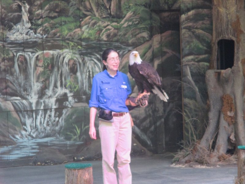 Eagle Show.JPG (714.99 KiB) Viewed 843 times Eagle Show.JPG