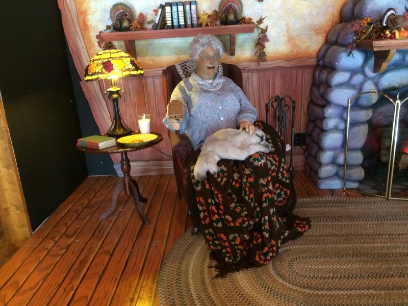 Gobbler Getaway Grandma Gun 1.JPG (783.84 KiB) Viewed 332 times Gobbler Getaway Grandma Gun 1.JPG