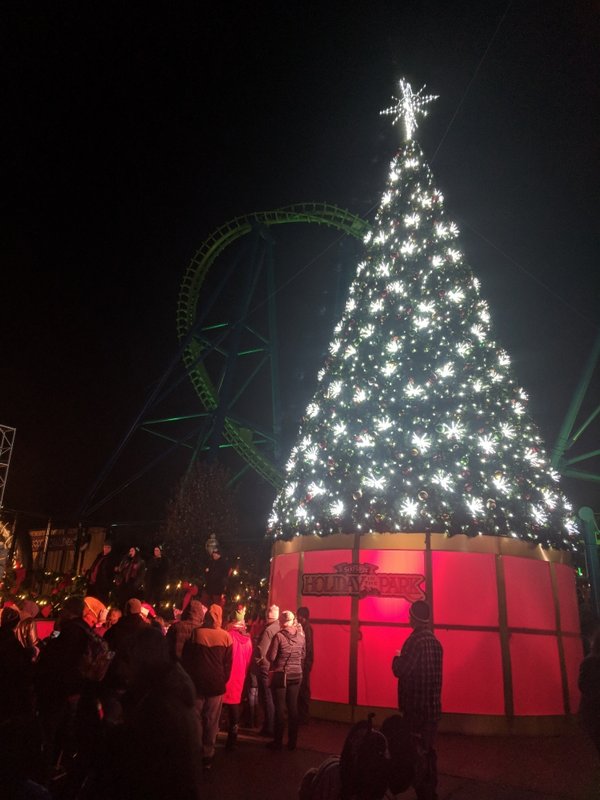Main Tree.jpg (492.59 KiB) Viewed 1151 times Main Tree.jpg