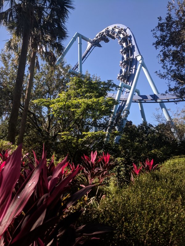 Manta Pretzel Loop.jpg (782.21 KiB) Viewed 1461 times Manta Pretzel Loop.jpg