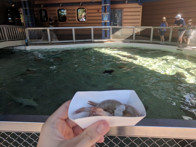 Shark Feeding.jpg (747.88 KiB) Viewed 1461 times Shark Feeding.jpg