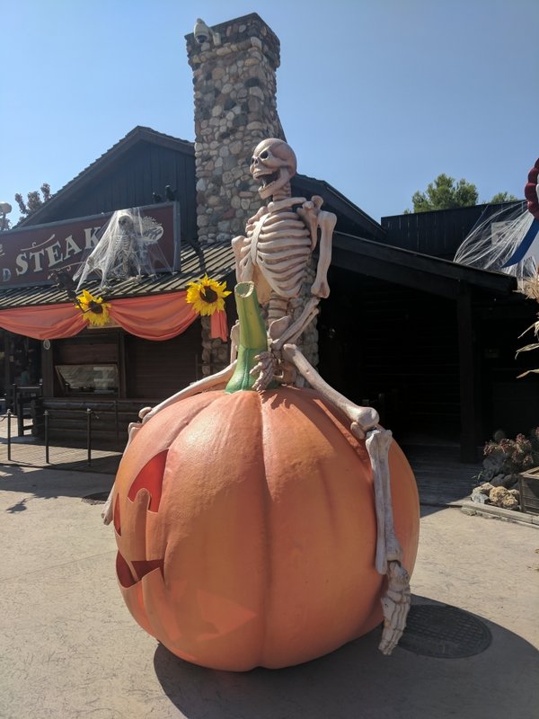 Skeleboner (Side).jpg (482.77 KiB) Viewed 3637 times Skeleboner (Side).jpg
