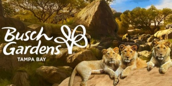 Busch Gardens Tampa Announces New Animal Habitat!