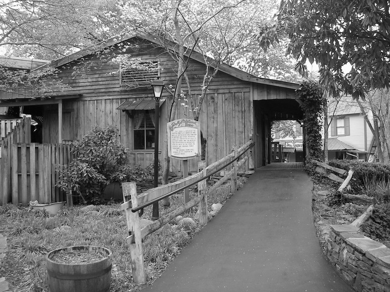 081IMGP5197.JPG