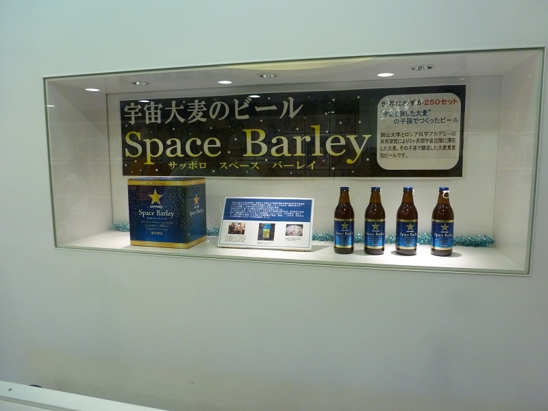 81.jpg