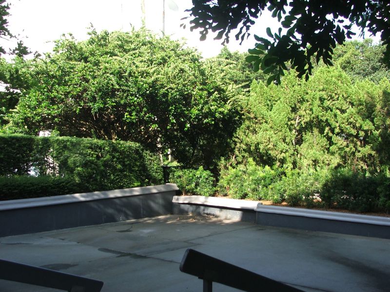 DSCF1478.jpg