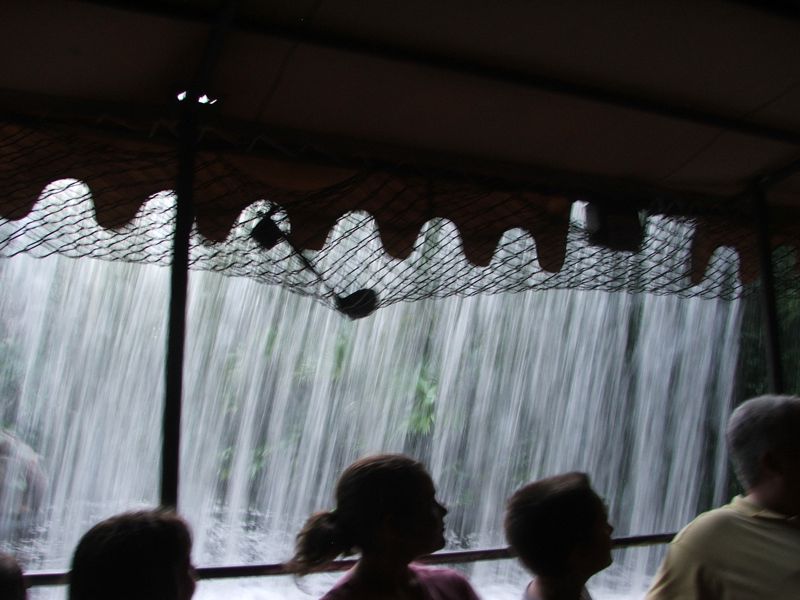 DSCF1544.jpg