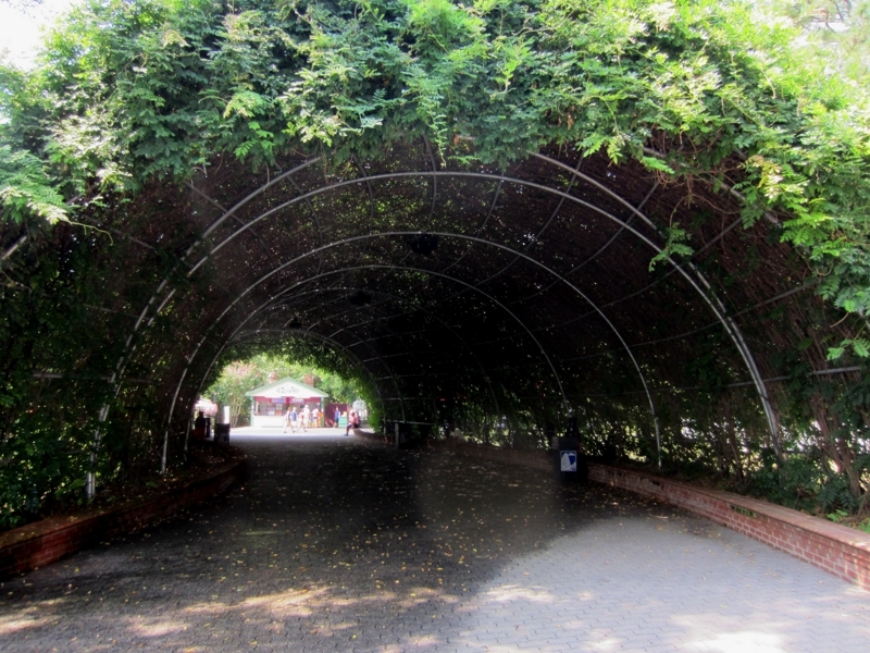 IMG_0041 (Copy).JPG