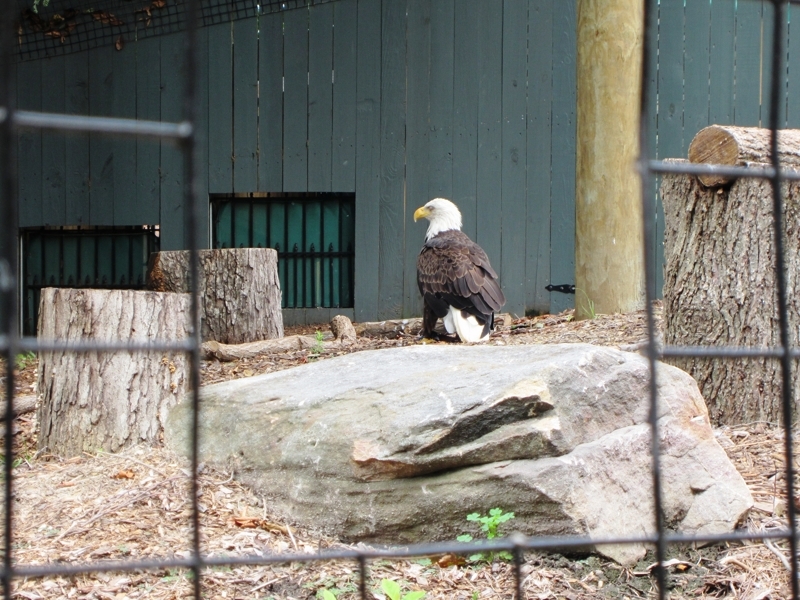 IMG_0078 (Copy).JPG