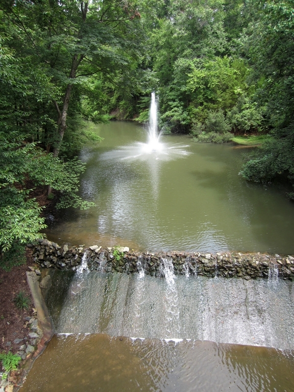 IMG_0082 (Copy).JPG