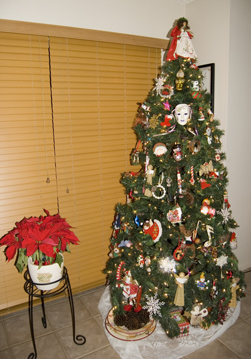 Menefee_Tree.jpg