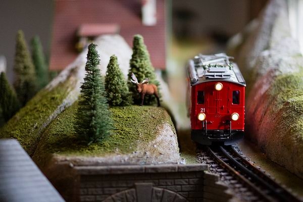 MooseModelTrains2014.jpg