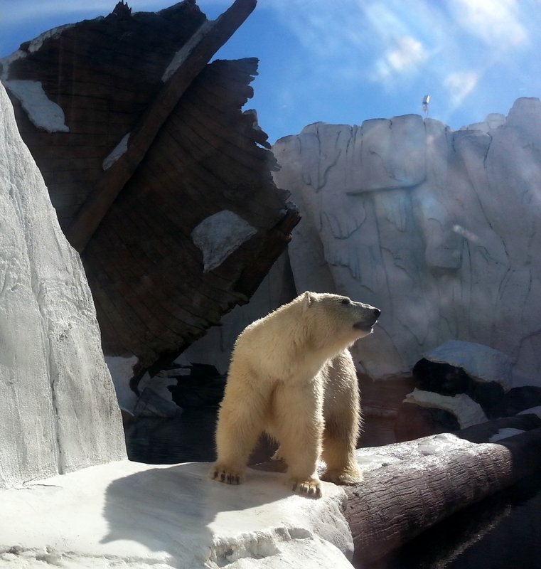 20131211_115933.jpg (612.14 KiB) Viewed 14428 times 20131211_115933.jpg