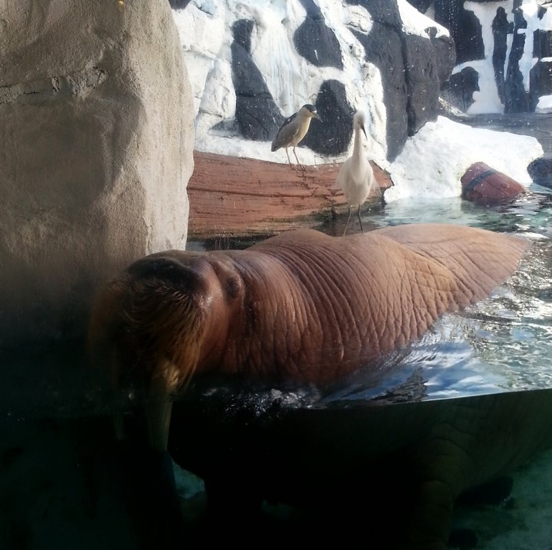 20131211_120102.jpg (818.03 KiB) Viewed 14428 times 20131211_120102.jpg