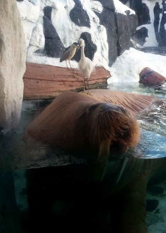 20131211_120104.jpg (414.88 KiB) Viewed 14428 times 20131211_120104.jpg