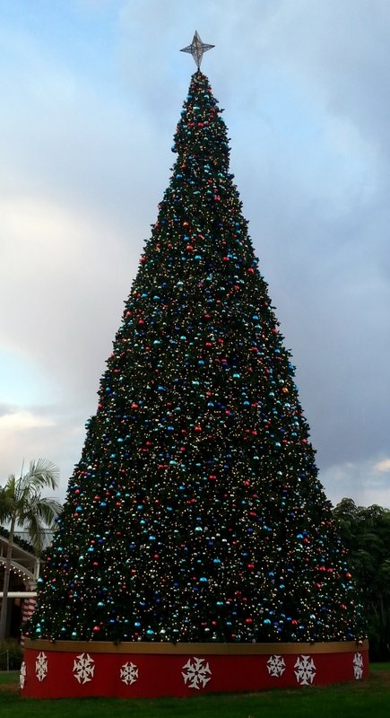 20131211_162738.jpg (456.26 KiB) Viewed 14428 times 20131211_162738.jpg