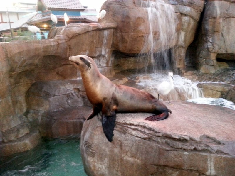 20131211_164930.jpg (754.38 KiB) Viewed 14428 times 20131211_164930.jpg
