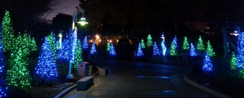20131211_172301(0).jpg (441.33 KiB) Viewed 14428 times 20131211_172301(0).jpg