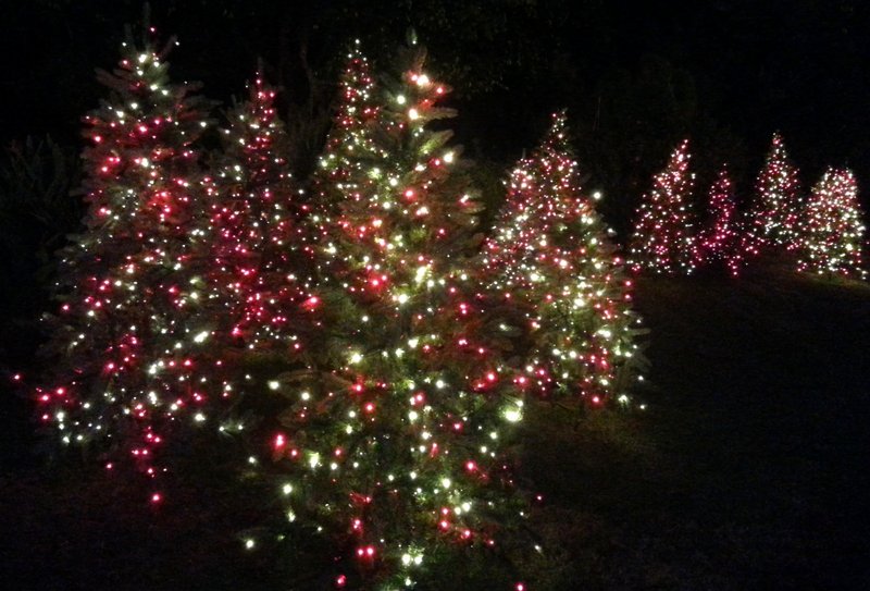 20131211_180704.jpg (706.14 KiB) Viewed 14428 times 20131211_180704.jpg