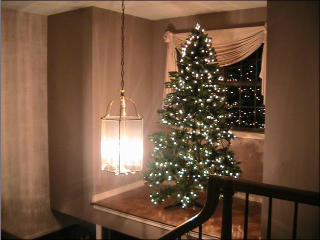 tree.JPG