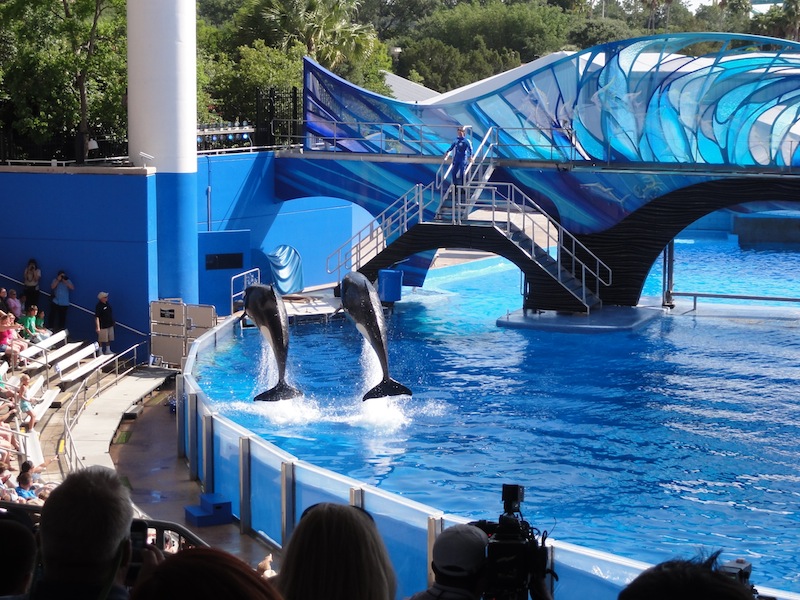 Photo TR: SeaWorld Orlando 'One Ocean' Media Day - Photo Trip Report ...