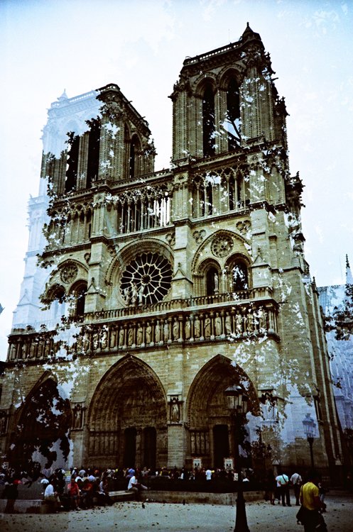 04_notredamethrutrees.thumb.JPG.bd08d2c389fe2cb0d76c5d7be6392a0a.JPG