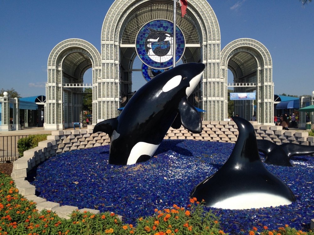 056_SeaWorldSanAntonio.thumb.jpg.7376d29039d8eaa511fd7c181dc58d3b.jpg