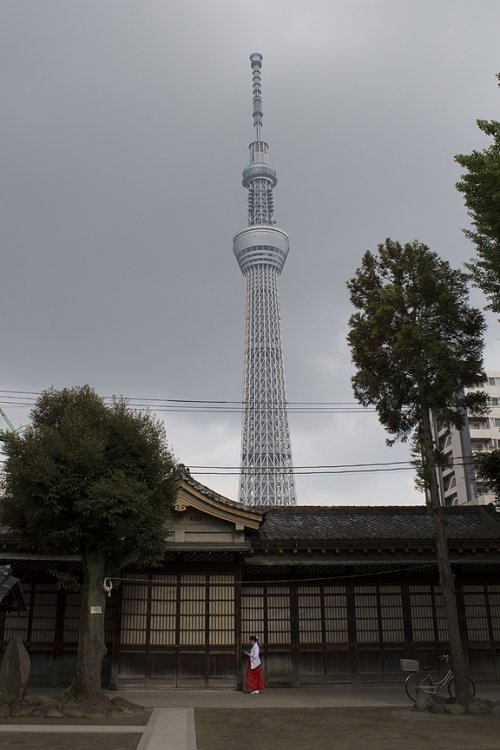098UshijimaShrineSkyTree_098.thumb.jpg.f27c81892bf2ba923891866ba31261fc.jpg
