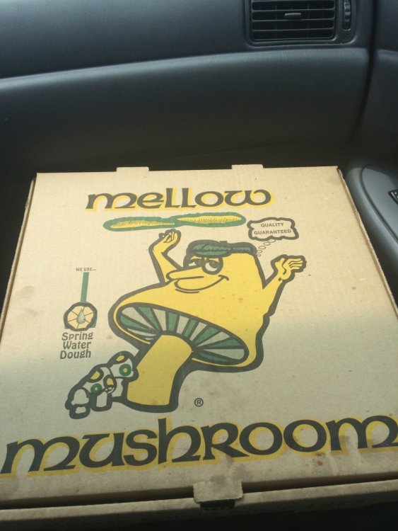 1006648421_MellowMushroomBox.thumb.JPG.aae2d0399bcf724d12c2a0f6d4aa9e38.JPG