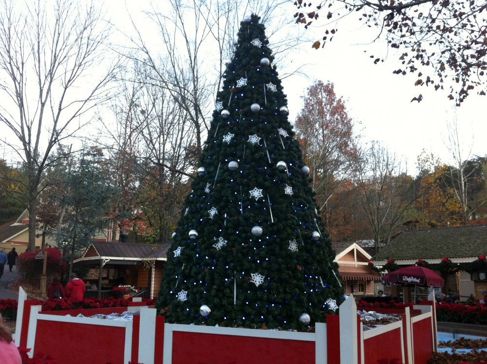 1036290903_Dollywood41.thumb.JPG.c0dd0d0630ecbd4fa99ba4b176e60c80.JPG