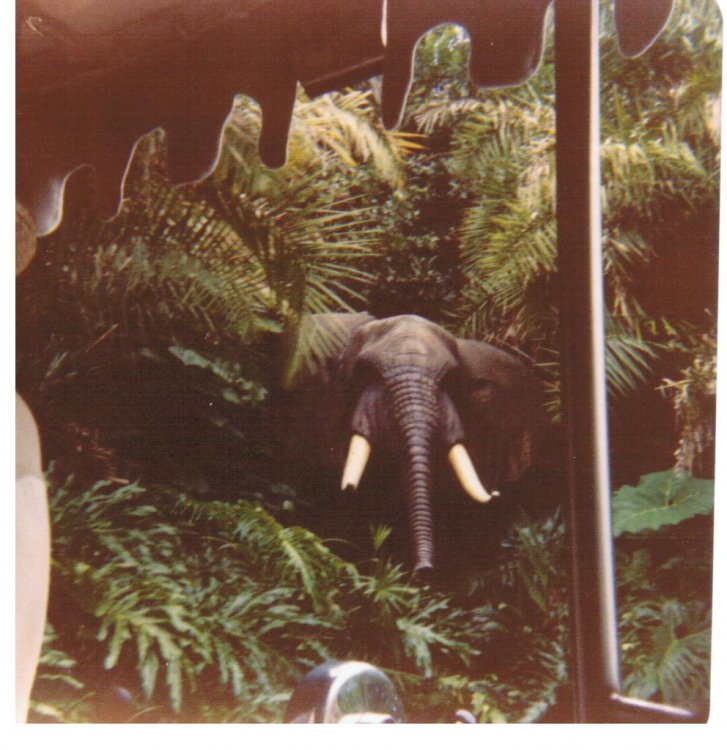 1050956193_WDW75JungleCruise.thumb.jpg.a0d941cd5ec44fa844f4c39fee4db20f.jpg