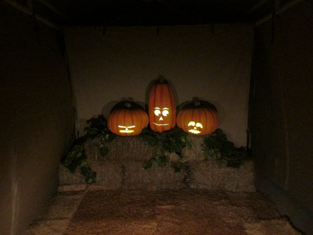 1145680714_cphalloweekends2015019.thumb.JPG.548ef3258cc0caea48e11ce68427faa3.JPG
