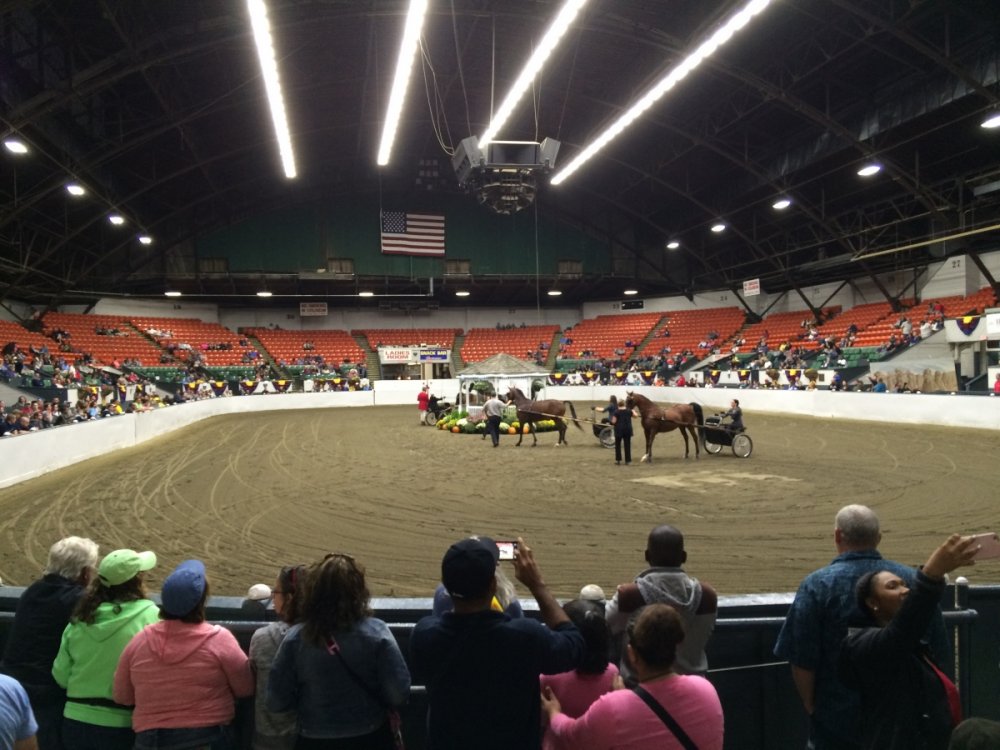 1198489484_HorseShow.thumb.JPG.8035a5c35770d7c98562182fa7a1a0b7.JPG