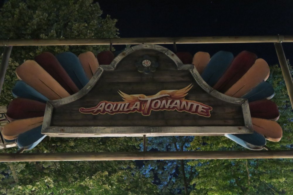 1215086292_AquilaTonanteSign.thumb.JPG.f6dfe9f62e3306bae607dfefbc5e4ceb.JPG