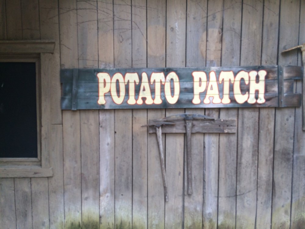 1233313464_PotatoPatchSign.thumb.JPG.8ae10c57c012497fe40204c285ce2018.JPG