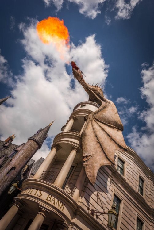 1246391049_Orlando2016-023-HarryPotter-DiagonAlley.thumb.jpg.80fb1ffbbd2bbda0e178143f64106ec1.jpg