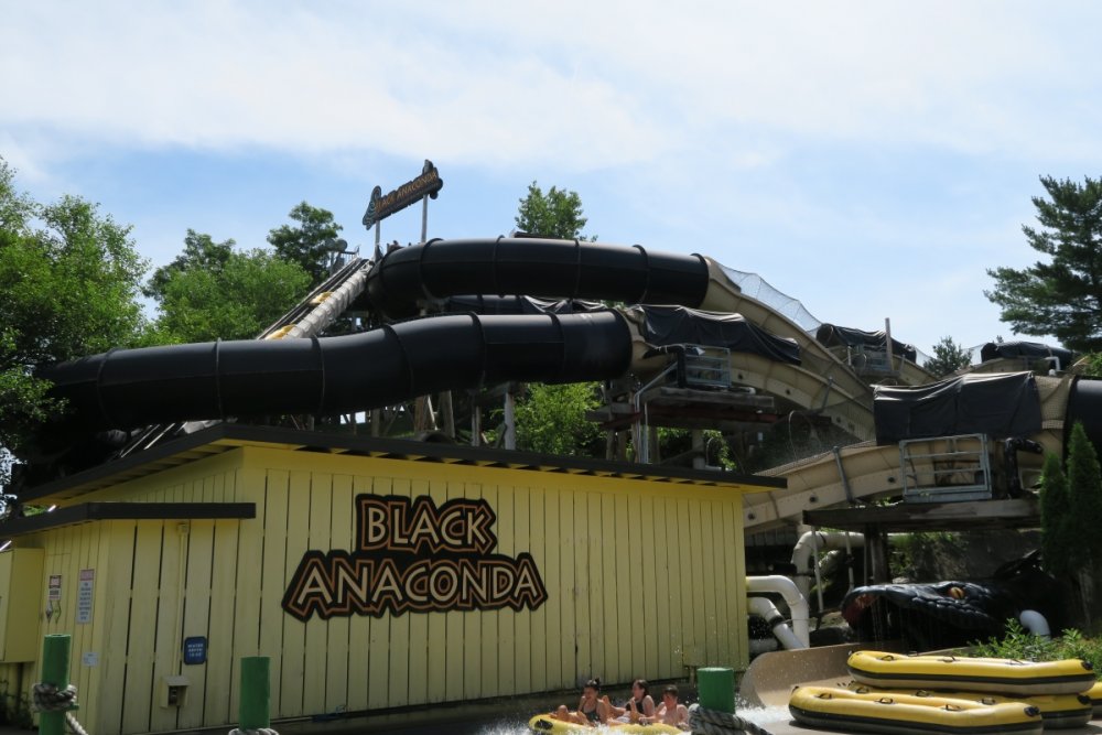 1356168549_BlackAnacondaOverview.thumb.JPG.13054d974072015c20ec932bc0c9070c.JPG