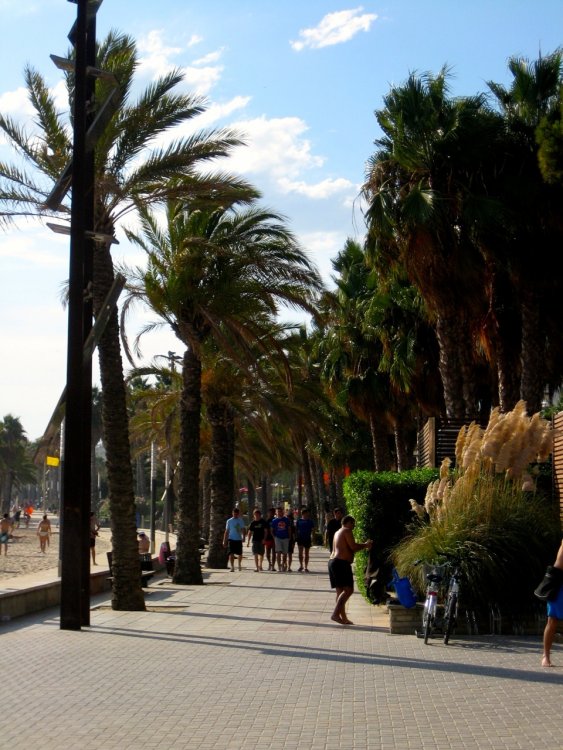 1381905080_Salou-089.thumb.jpg.3368d08a45dc1ced298500986837051f.jpg