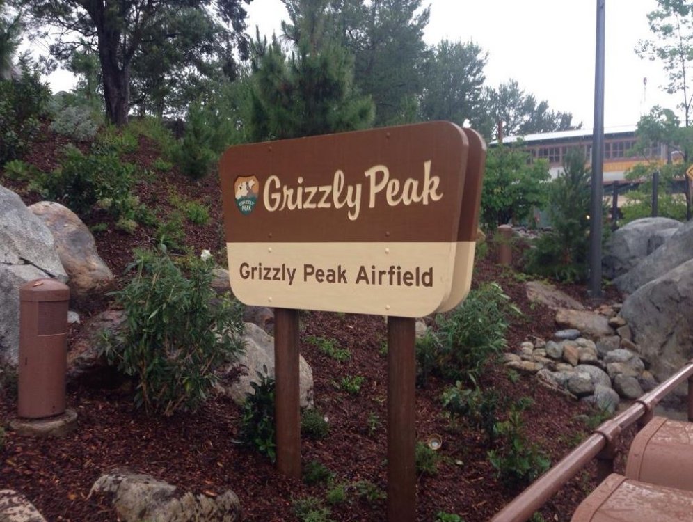 1408763848_grizzlypeak.thumb.JPG.cc324bdcd5d6c71f5d2298b140266dc2.JPG