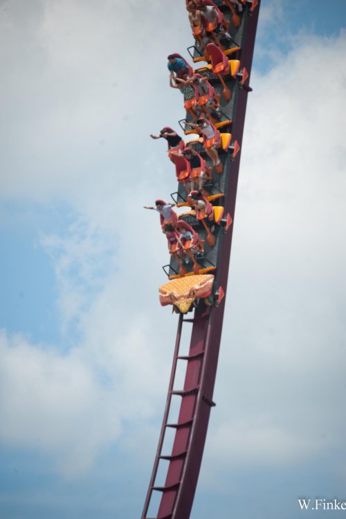 1433735833_KingsIsland-8.thumb.jpg.a3bcd09dab1804516ef1ee6b908c5800.jpg
