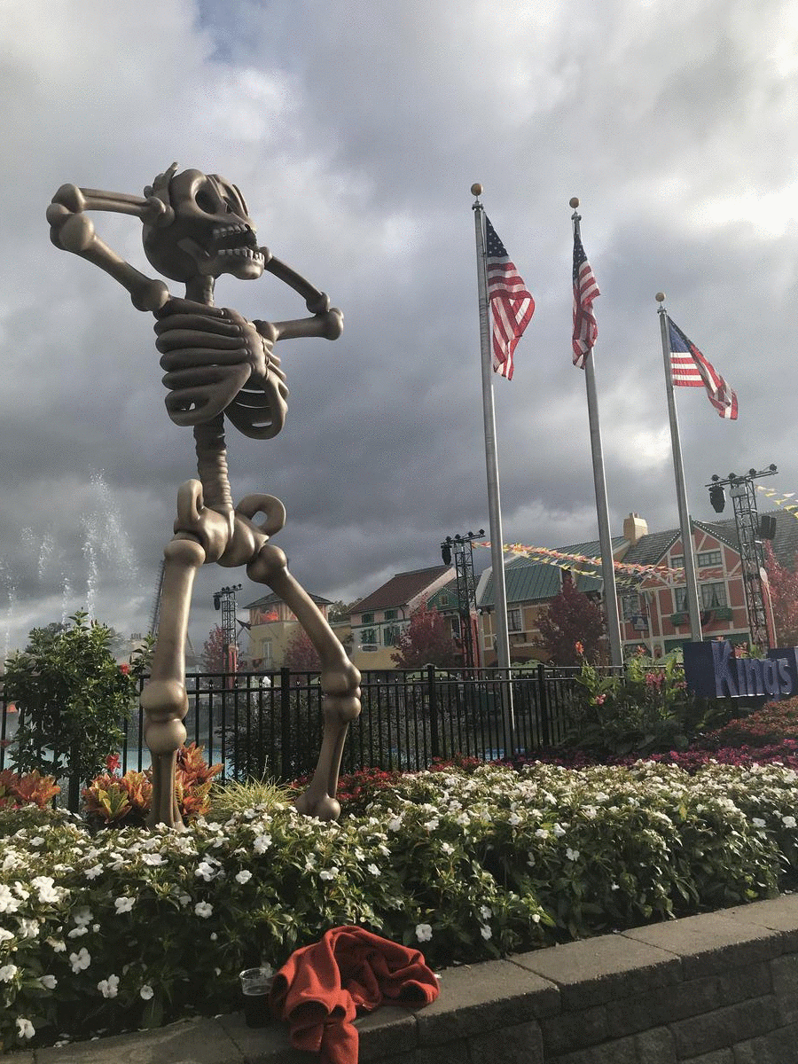 ezgif.com-gif-maker (1).gif