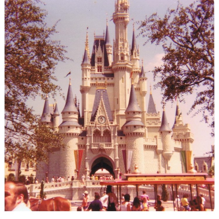 1438700150_WDW75Castle.thumb.jpg.80586c3c7f254ea100fab7c900422bc4.jpg
