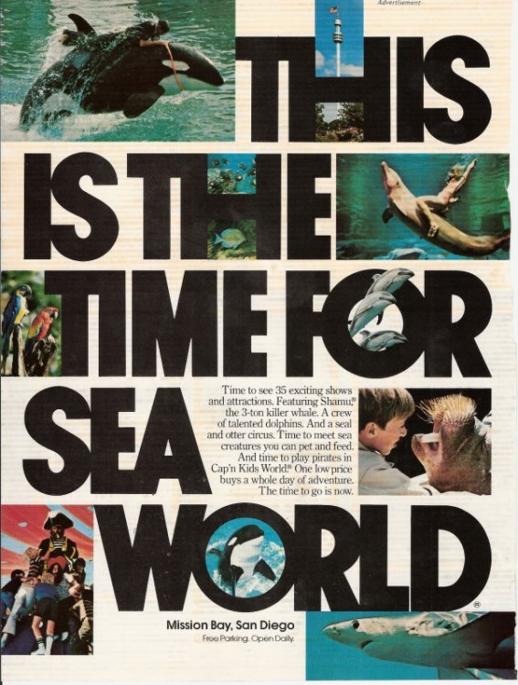 1451284782_SeaWorld3800x600.thumb.jpg.39616fb9e4af696c6e8a4c0ef3f2af7e.jpg