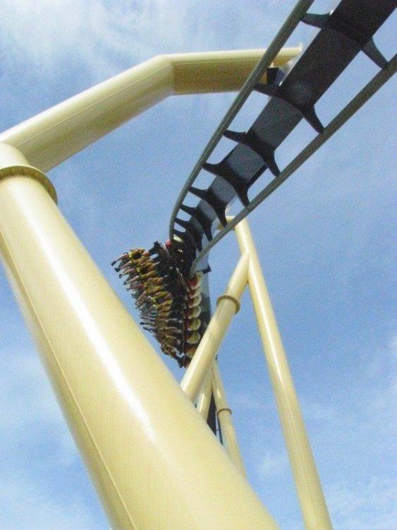 1454335053_005Montu-Immelman.thumb.jpg.74cf5a91759fa2c1873f8447048b1543.jpg