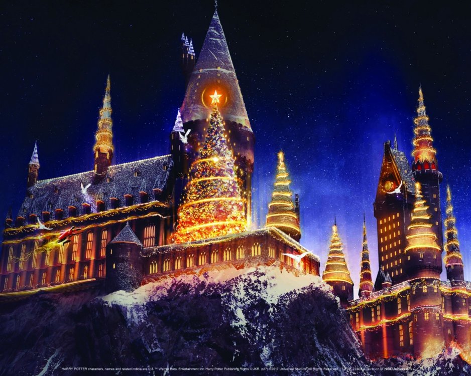 1496593428_USHHolidays-ChristmasintheWWoHP.thumb.JPG.62cb99c4ac0549c09e4ff3aebbb52ba8.JPG