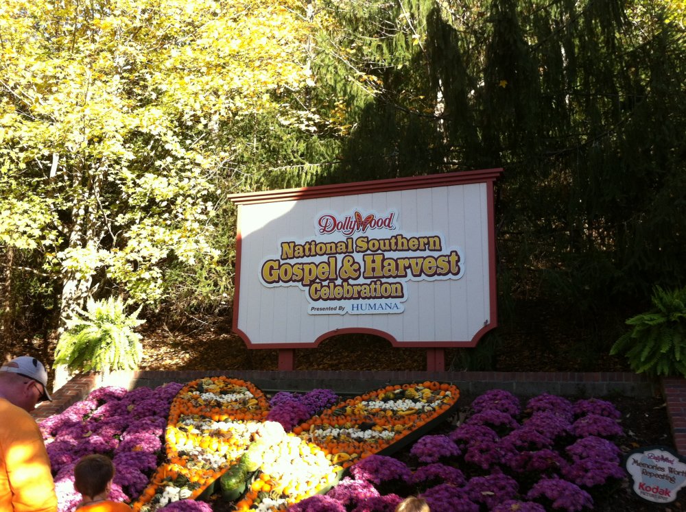 1532116024_Dollywood1.thumb.JPG.8933488e75533b9e5d904eeab51a3597.JPG