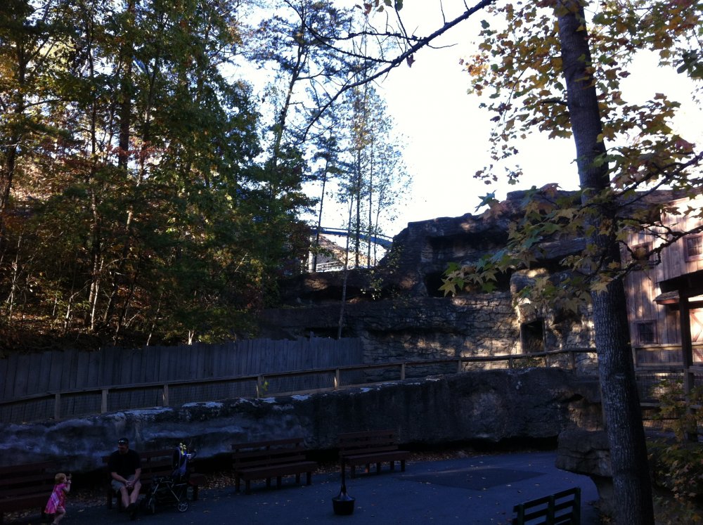 1537771635_Dollywood065.thumb.jpg.bf158b9e3a6e787a24189806a7e86f0d.jpg
