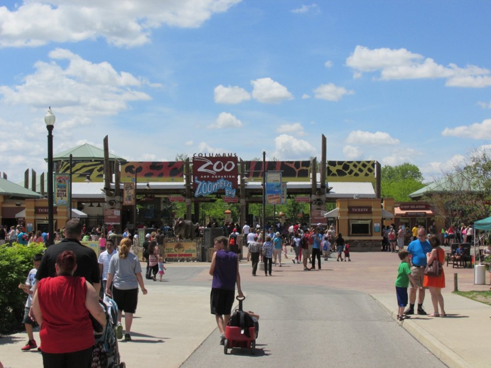 1564526526_Columbuszooandki003.thumb.JPG.e28e93ee72931ad62e66abfef08c7b04.JPG